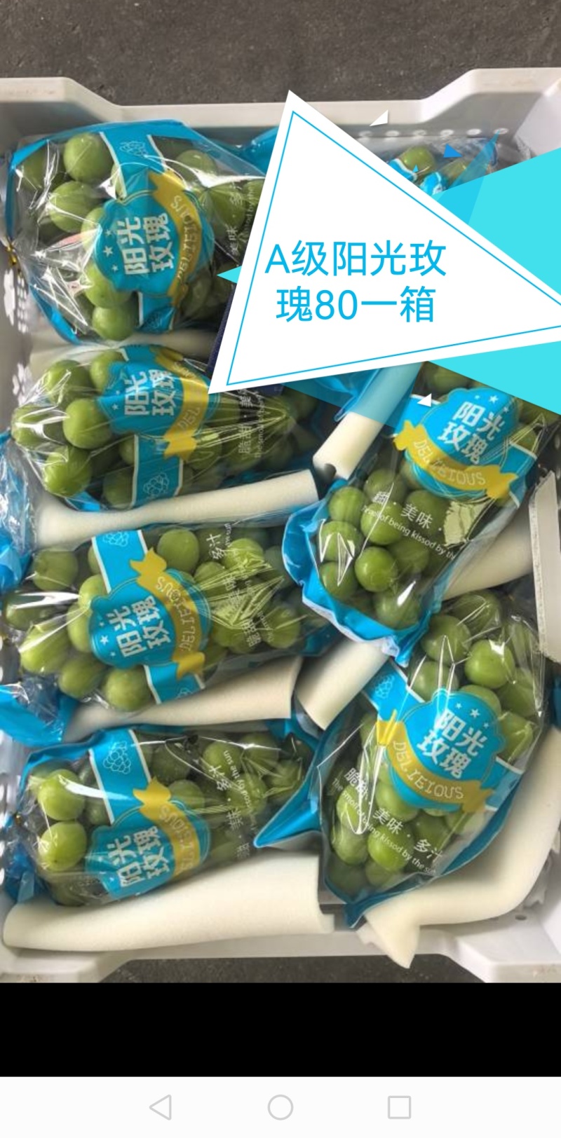 阳光玫瑰