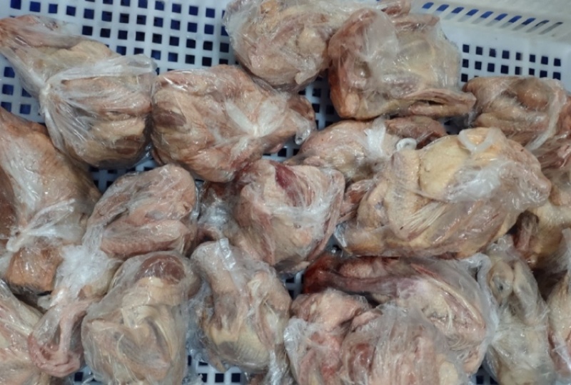 白鸽速冻乳鸽货源稳定品种齐全长期供应规格齐全