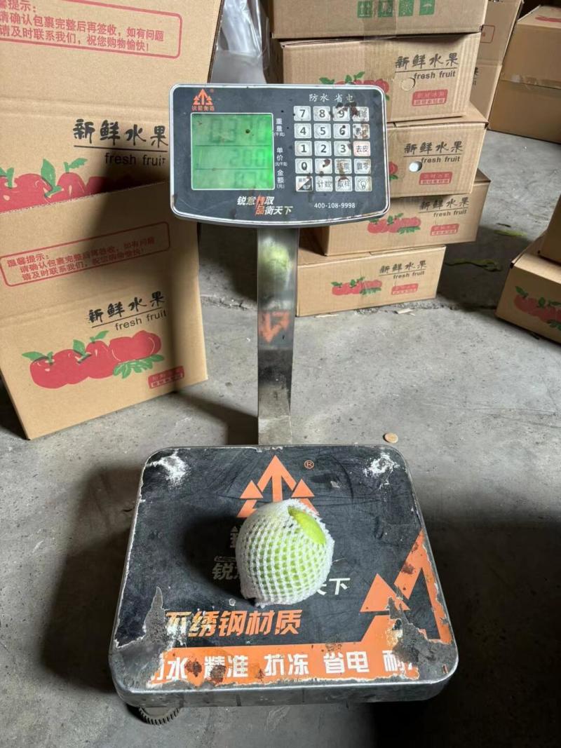 江苏产地直发，青皮皇冠梨，糖分可达13-14