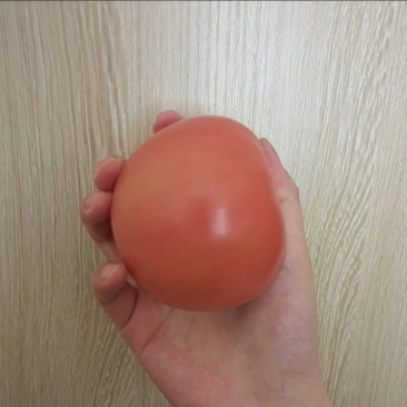 硬粉西红柿