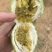 钦蜜9号又名黄金百香果