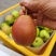 【红香酥梨】陕西蒲城新鲜采摘视频看货/线上供应全国代发…