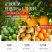 正宗新会陈皮干10年广东特产老陈皮茶礼盒250克
