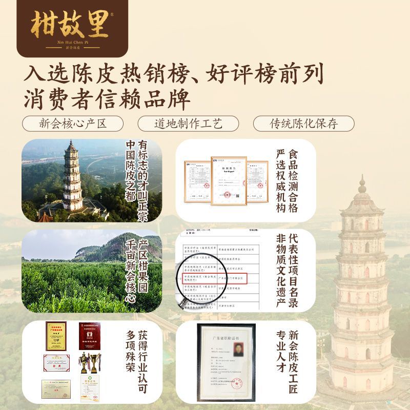 正宗新会陈皮干10年广东特产老陈皮茶礼盒250克