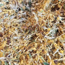 贵州省黔西南州安龙县金银花
