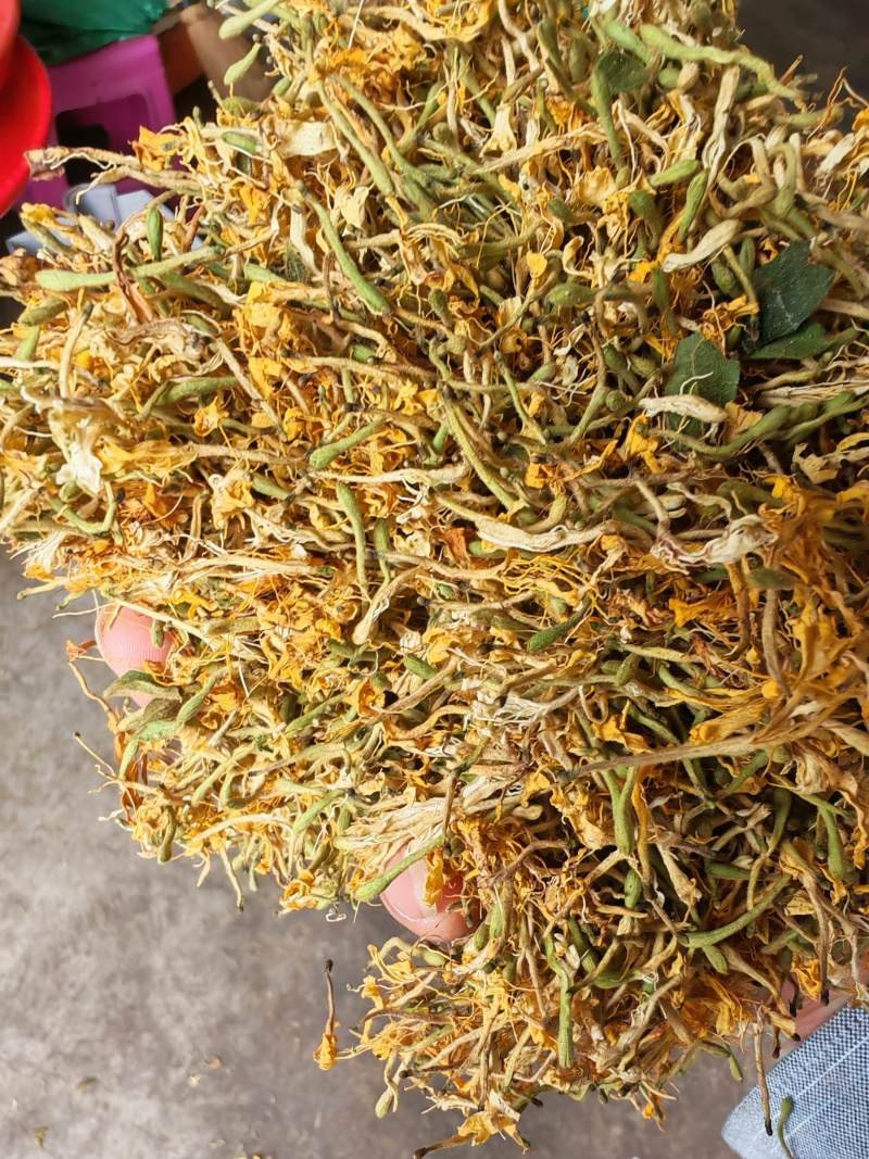 贵州省黔西南州安龙县金银花