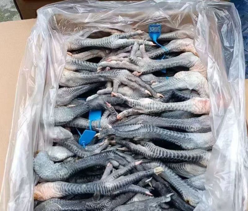 青脚鸡爪，有货，量大从优。