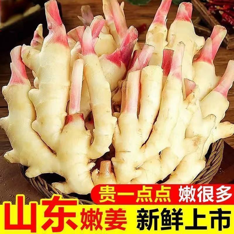 山东潍坊红芽鲜姜