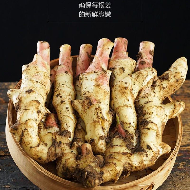 山东潍坊红芽鲜姜