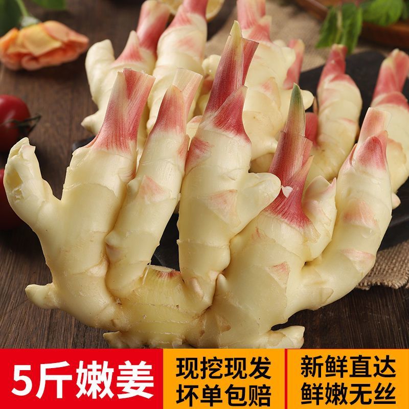 山东潍坊红芽鲜姜