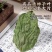 北京同仁堂柿子叶霜后鲜摘柿子叶罐装茶包高山生长正品自然晾晒c