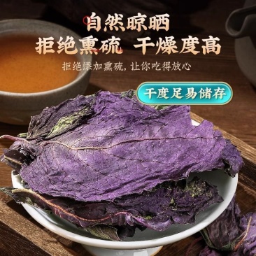 甄选野生紫苏叶新鲜食用泡水泡茶煮汤烧菜去腥气紫苏叶中药材