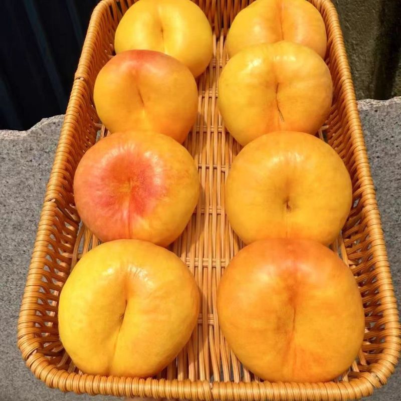 【优选】精品油蟠桃现摘现发一手货源产地直发视频看
