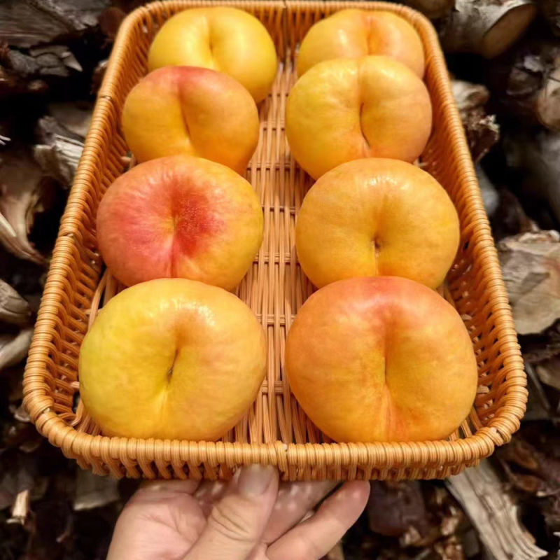 【优选】精品油蟠桃现摘现发一手货源产地直发视频看