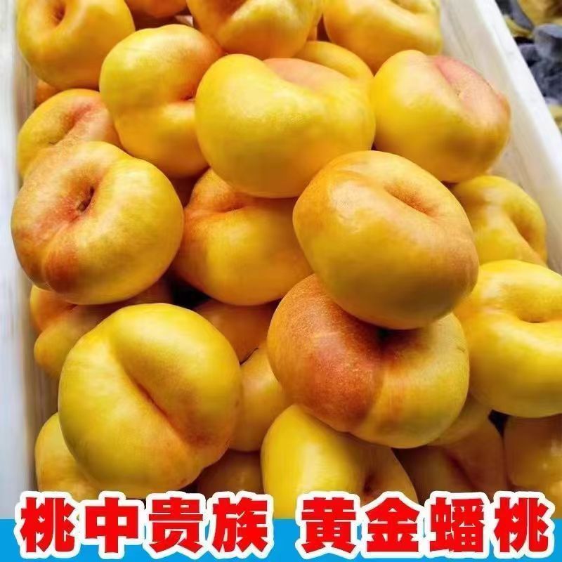 【优选】精品油蟠桃现摘现发一手货源产地直发视频看