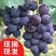 河北威县精品巨峰葡萄一手货源代发全国超甜多汁