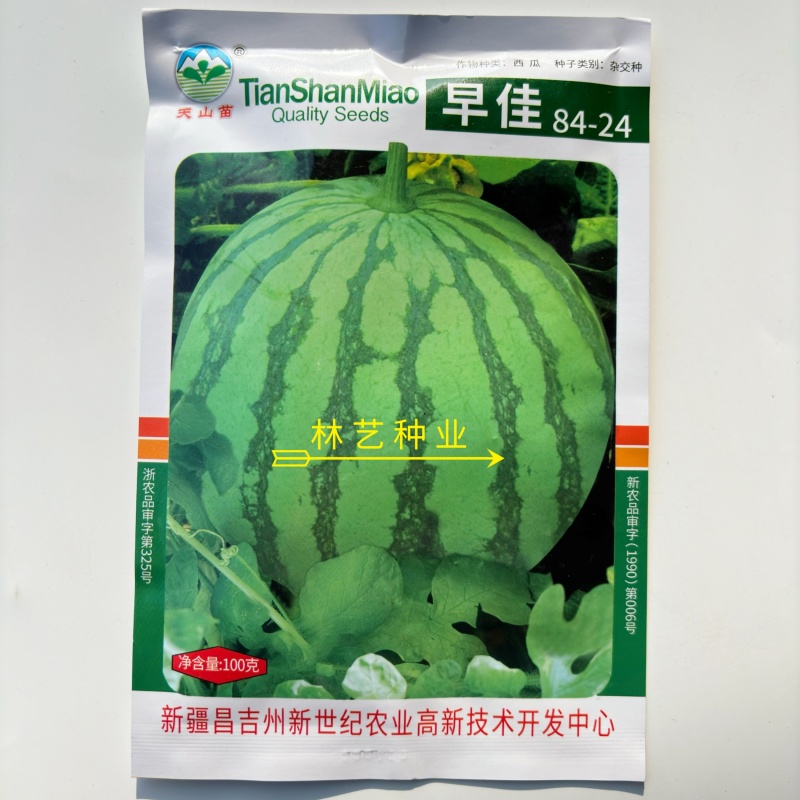 早佳8424西瓜种子早熟一代杂交抗病丰产不倒瓤耐运输