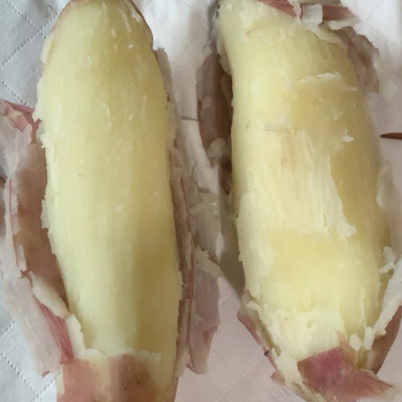 冰糖心白哈密