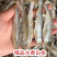 精品水煮鱼干地摊电商批发干鱼兰刀白条白肖翘嘴鱼干淡水鱼干