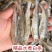 精品水煮鱼干地摊电商批发干鱼兰刀白条白肖翘嘴鱼干淡水鱼干