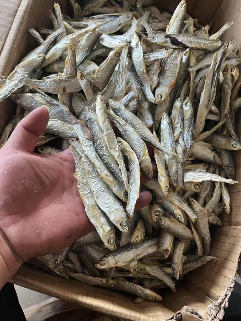 精品水煮鱼干地摊电商批发干鱼兰刀白条白肖翘嘴鱼干淡水鱼干