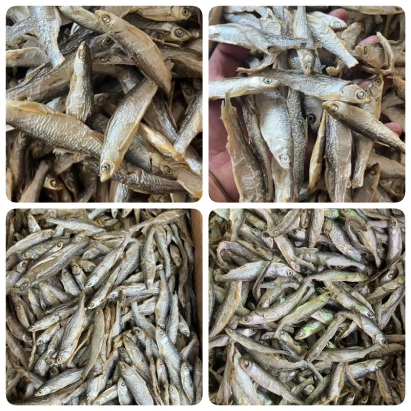 精品水煮鱼干地摊电商批发干鱼兰刀白条白肖翘嘴鱼干淡水鱼干