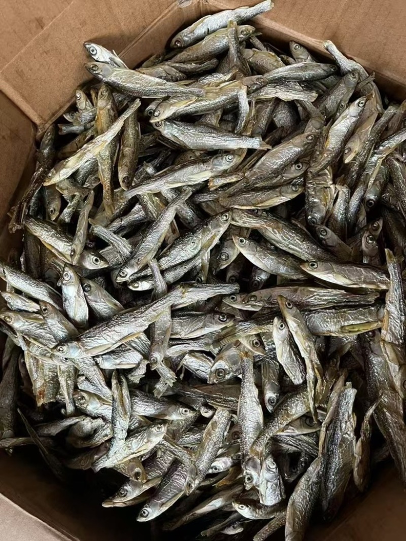 精品水煮鱼干地摊电商批发干鱼兰刀白条白肖翘嘴鱼干淡水鱼干