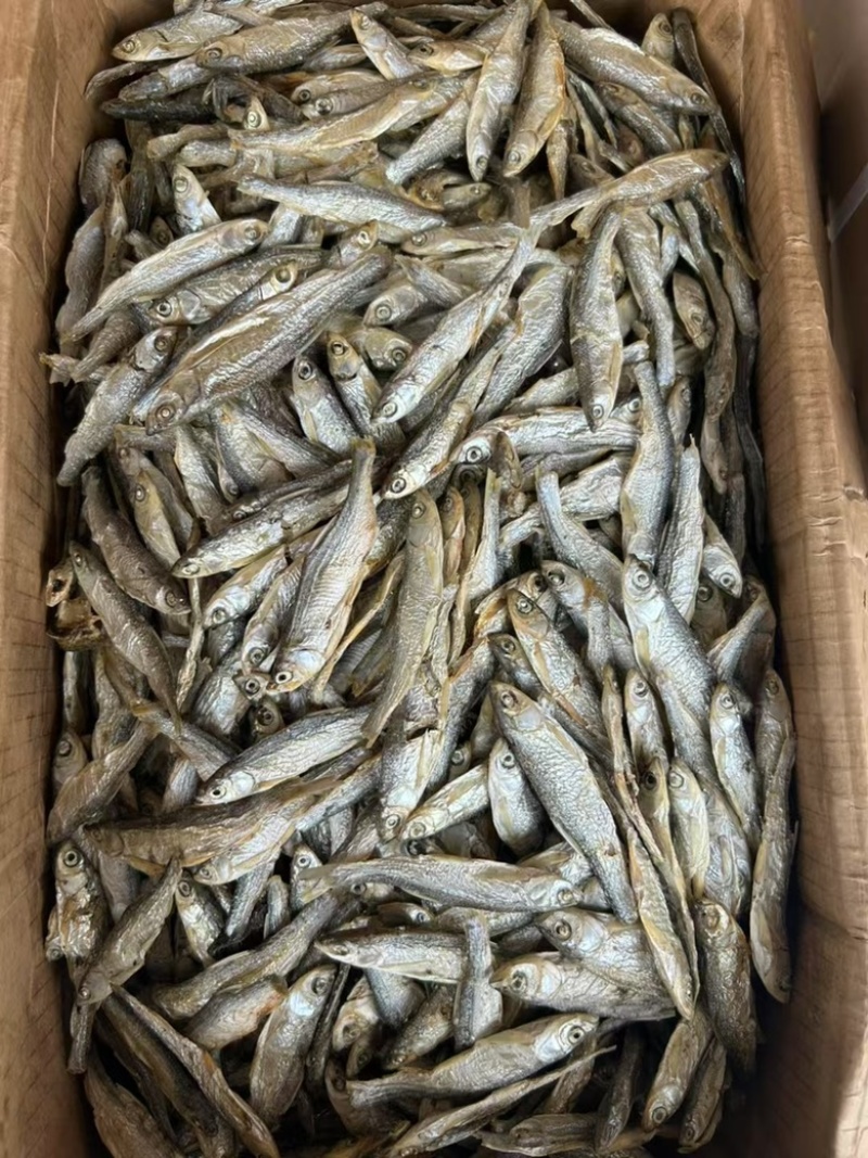 精品水煮鱼干地摊电商批发干鱼兰刀白条白肖翘嘴鱼干淡水鱼干