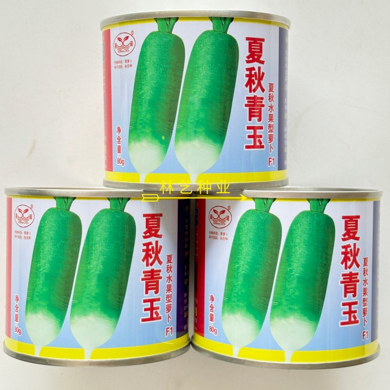 夏秋青玉水果型萝卜种子抗病强耐热长圆柱型萝卜种子微辣脆甜