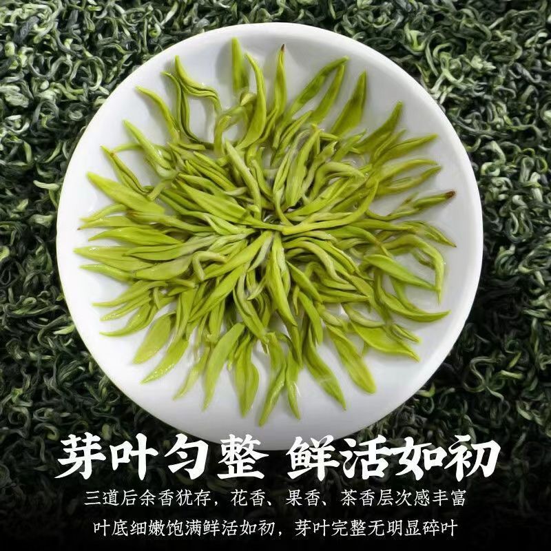 碧螺春2025新茶明前春茶花果香绿茶嫩芽浓香型