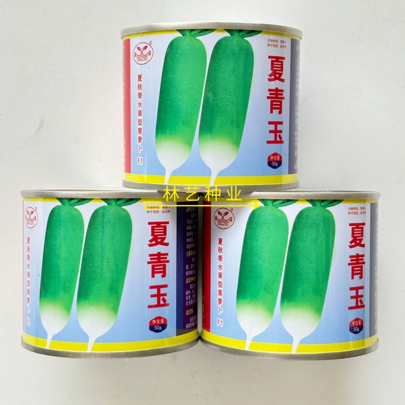 夏青玉水果萝卜种子耐热抗病性好较耐抽苔青萝卜种子微辣皮薄
