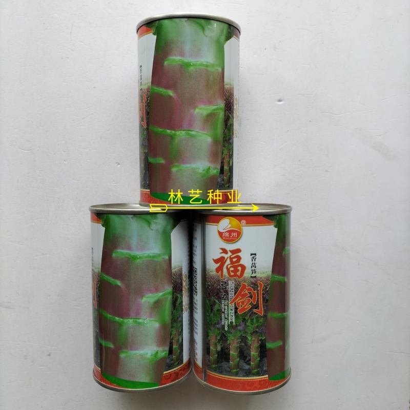 绵蔬福剑香莴笋种子耐寒尖叶皮红肉青质脆香味浓味清香莴苣