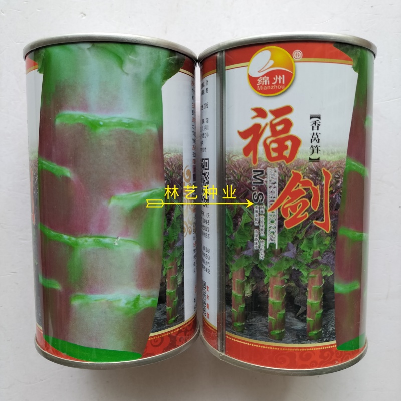 绵蔬福剑香莴笋种子耐寒尖叶皮红肉青质脆香味浓味清香莴苣