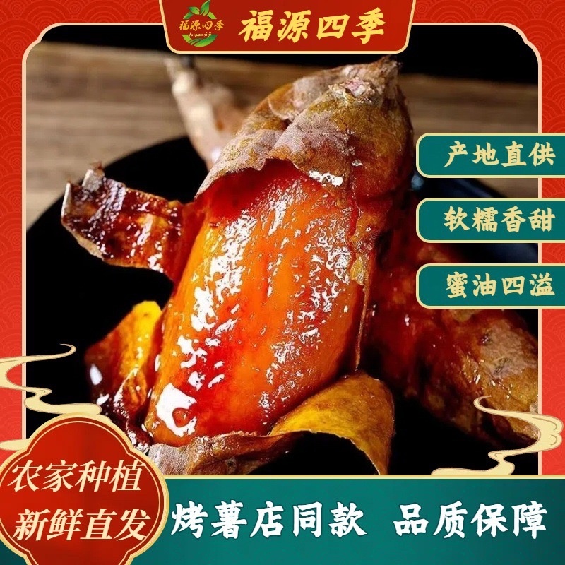 【一件代发】山东烟台烟薯地瓜烤薯店同款软糯香甜溜油