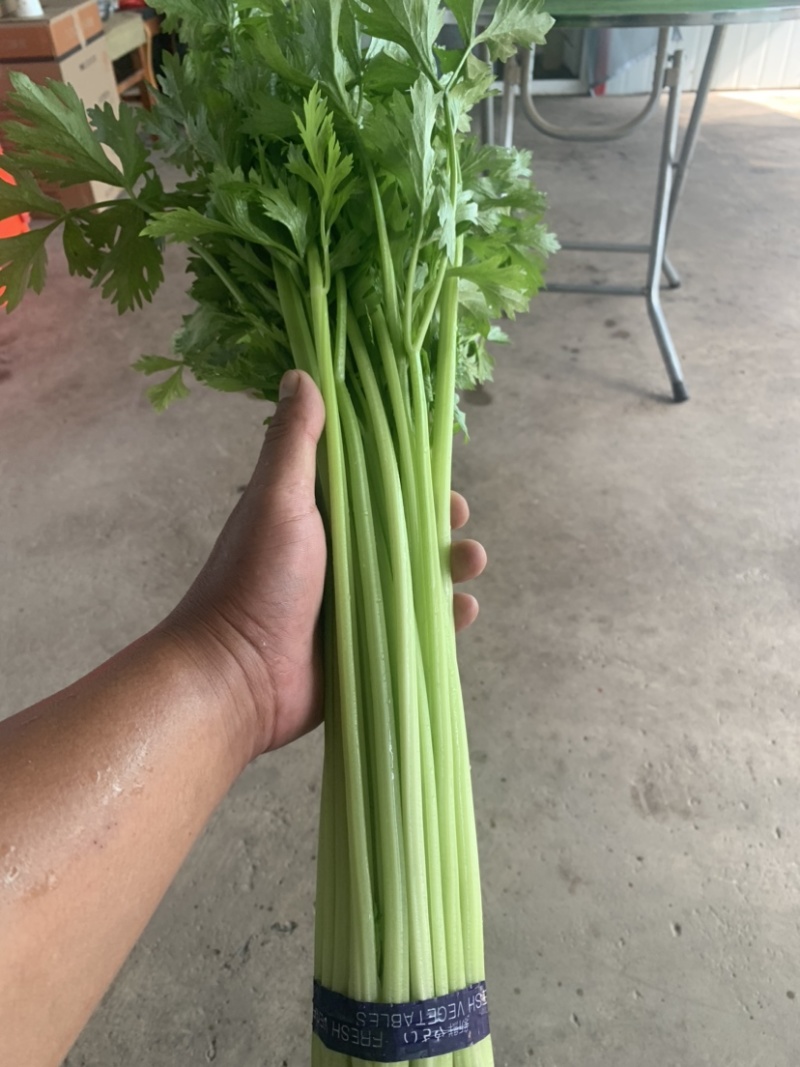 香芹