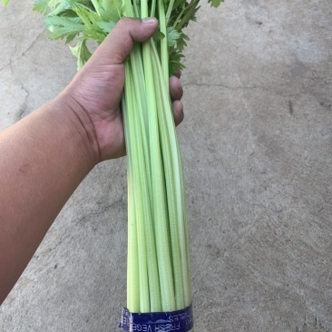 香芹