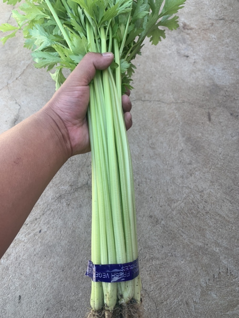香芹