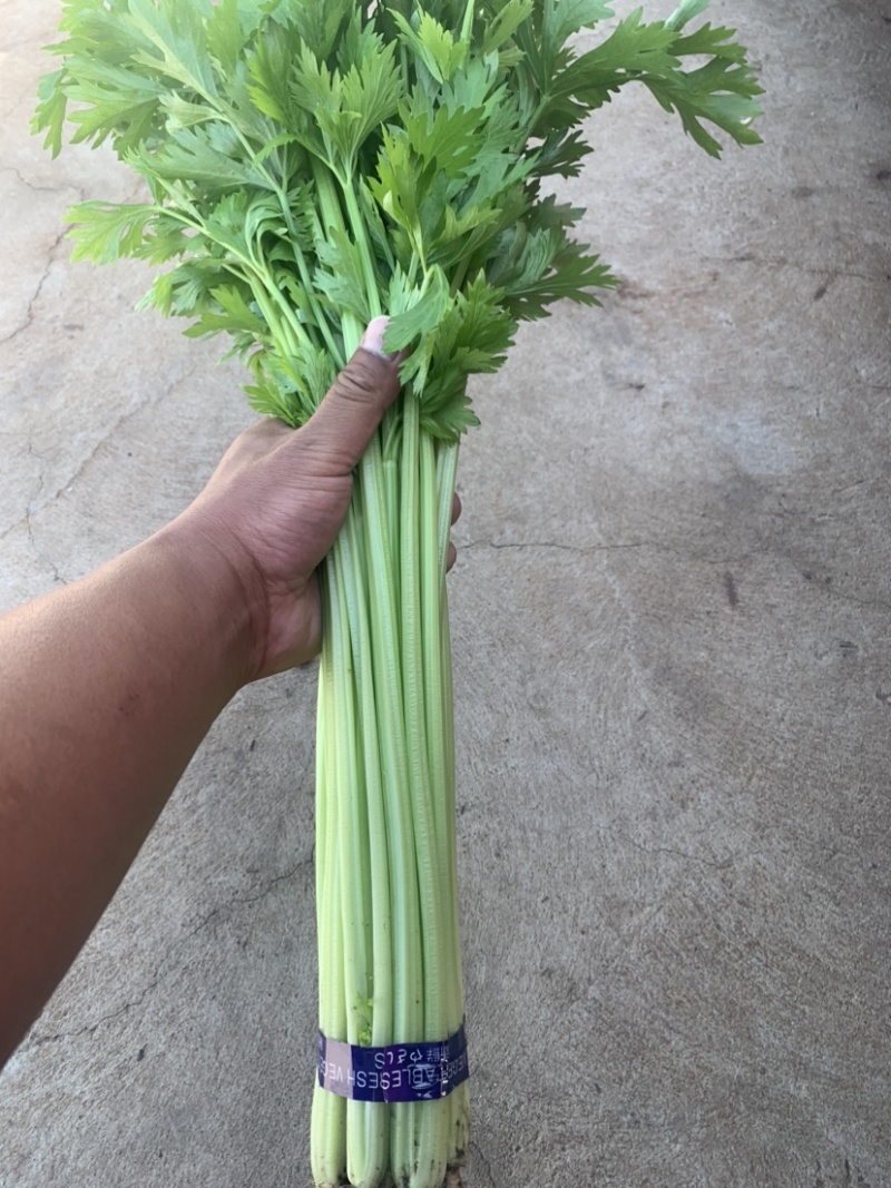 香芹