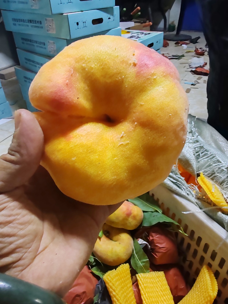 蟠十一上市，需要的请联系