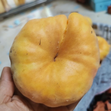 蟠十一上市，需要的请联系