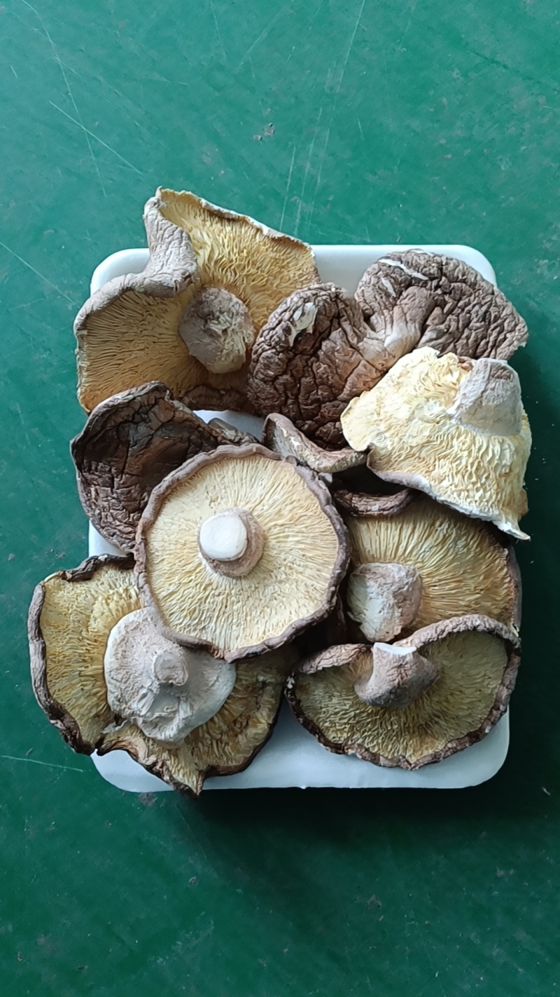 沧州市献县枣木干香菇食堂专用