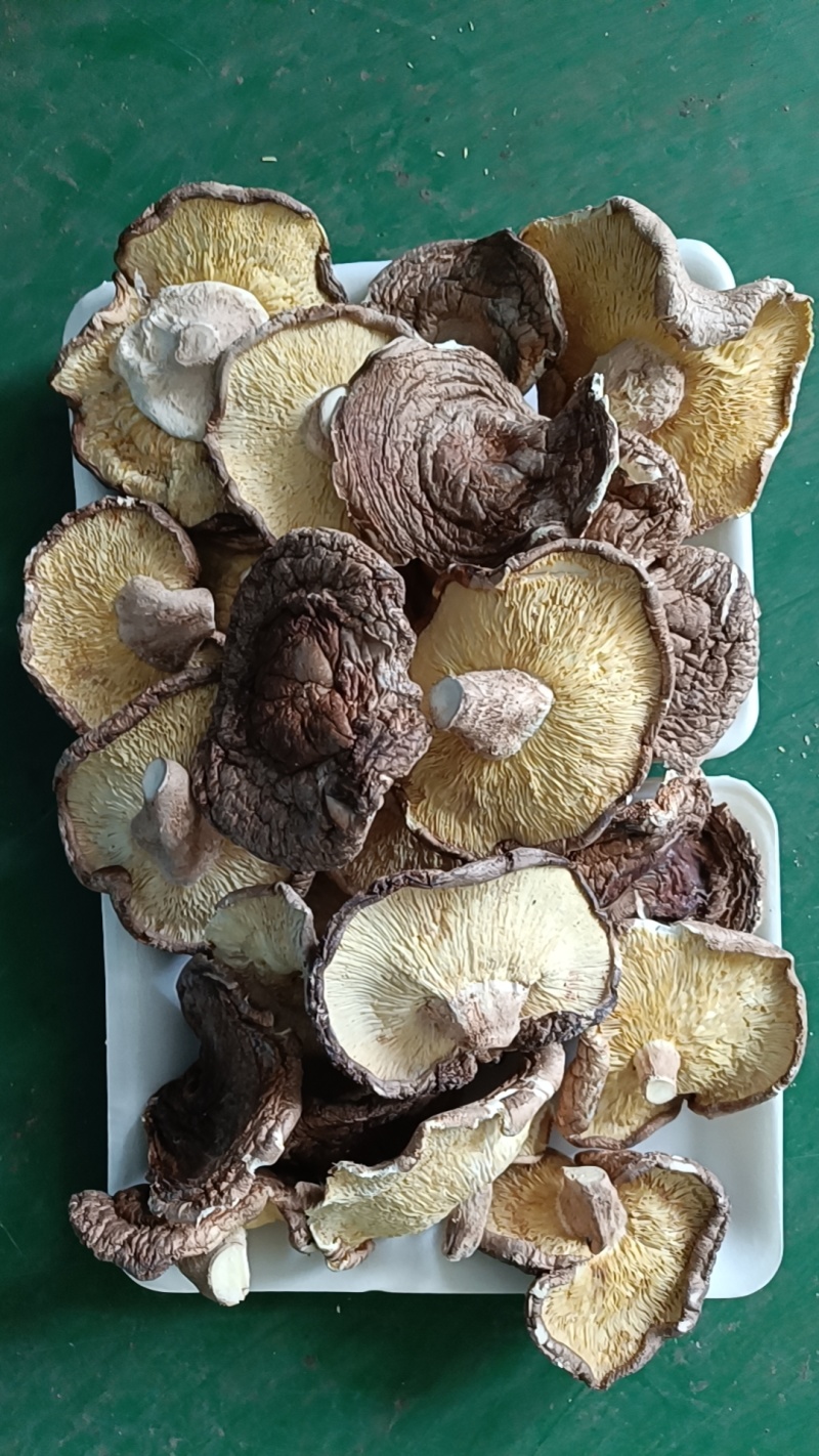 沧州市献县枣木干香菇食堂专用