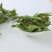 忧遁草1公斤,全草晒干,黎王草,忧盾草,海南五指山