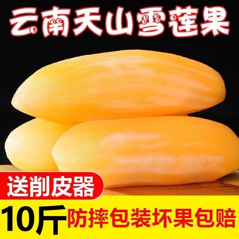 25年云南天山雪莲果正宗黄心红心特级大果中果小个现货便宜学生