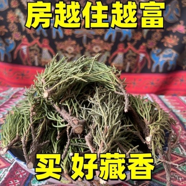 【芬芳香味】藏香柏秘境天然香净化空气磁场精神藏香植