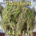 【芬芳香味】藏香柏秘境天然香净化空气磁场精神藏香植