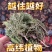 【芬芳香味】藏香柏秘境天然香净化空气磁场精神藏香植