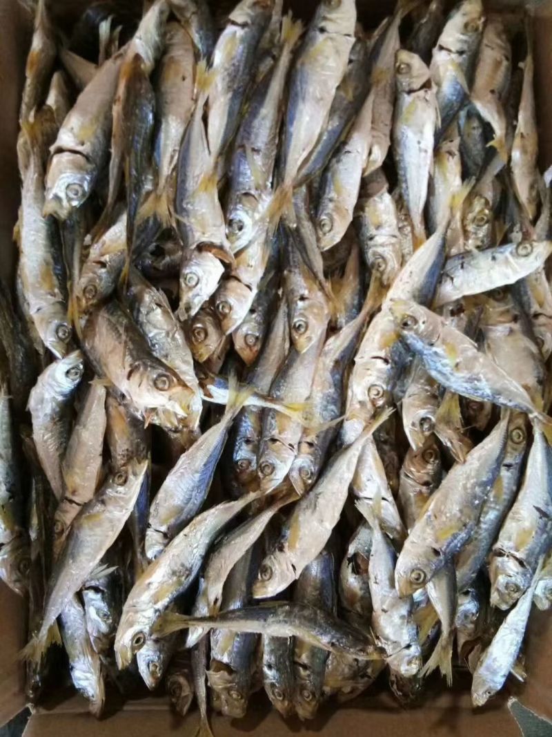 东海巴浪鱼干即食