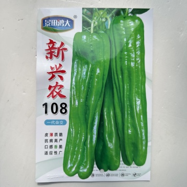 一代杂交早熟薄皮泡椒种子微辣竖条纹大果型抗病高产