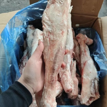 羊金刚，后金刚实拍带腱子肉，带拐筋一根一斤2